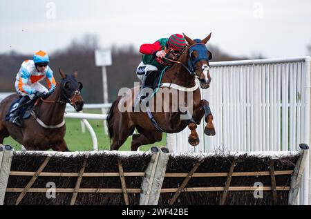 Doncaster Racecourse, Großbritannien. Januar 2024. Jaytee und Brian Hughes gewinnen die SBK Handicap Hürde für Trainer Ian Williams und Besitzer J Tredwell. Credit JTW equine Images / Alamy Live News Stockfoto