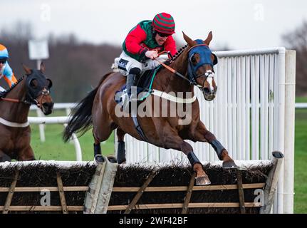 Doncaster Racecourse, Großbritannien. Januar 2024. Jaytee und Brian Hughes gewinnen die SBK Handicap Hürde für Trainer Ian Williams und Besitzer J Tredwell. Credit JTW equine Images / Alamy Live News Stockfoto