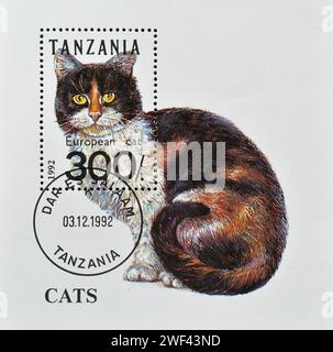 Block mit gestempelter Briefmarke von Tansania, auf der die europäische Katze abgebildet ist, um 1992. Stockfoto