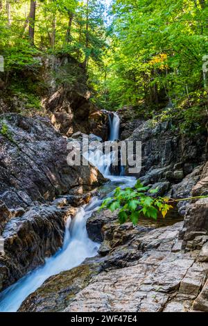 Begeben Sie sich auf ein Adirondack-Abenteuer, entdecken Sie baumgesäumte Wege und malerische Landschaften auf einer erfrischenden Wandertour Stockfoto