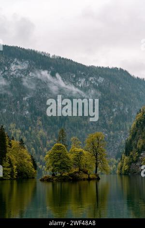 Smaragd Embrace: Die neblige Eleganz der Königssee-Bäume am See im Herbst Stockfoto