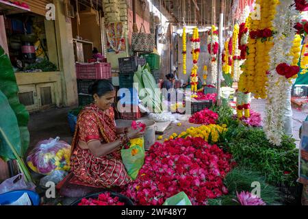 Vadodara, Indien - 14. Januar 2024: Blumenhändler auf dem Khanderao-Markt in Vadodara, Gujarat, Indien. Stockfoto