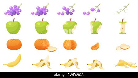 Animierte Schritte des Essens von Banane mit Schale vom Ganzen zu verschwinden, roten Apfel und Trauben auf Zweig, Mandarine flache Vektor Illustration. Gegessen Obst Set, Sequenzspiel Animation von gebissenem Essen. Stock Vektor