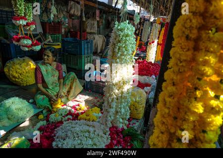 Vadodara, Indien - 14. Januar 2024: Blumenhändler auf dem Khanderao-Markt in Vadodara, Gujarat, Indien. Stockfoto