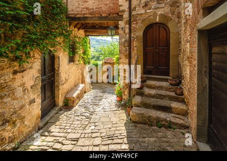 Das malerische Dorf Montefioralle, in der Nähe von Greve in Chianti, an einem sonnigen Sommertag. Provinz Florenz, Toskana, Italien. Stockfoto