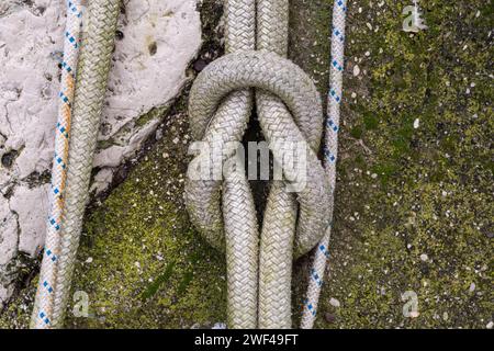 Der Riffknoten oder Quadratischer Knoten. Seilknoten eines großen Fischereifahrzeugs im Hafen von Grado. Ausrüstung für die Fischereiindustrie. Wird von Seeleuten verwendet. Stockfoto