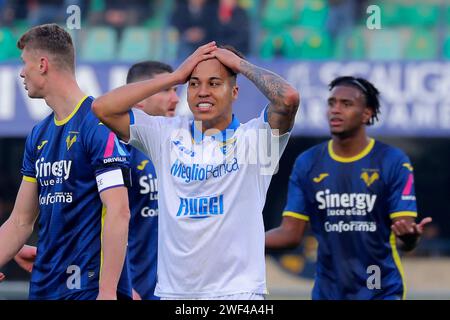 Foto Paola Garbuio/LaPresse 28 Gennaio 2024 - Verona, Italia - Sport, calcio -Hellas Verona vs Frosinone - Campionato italiano di calcio Serie A TIM 2023/2024 - Stadio Marcantonio Bentegodi. Nella Foto: Kaio Jorge(9 Frosinone Calcio) Wahnvorstellung Verona)28. Januar 2024 Verona, Italien - Sport, Fußball - Hellas Verona vs Frosinone - italienische Serie A TIM Fußballmeisterschaft 2023/2024 - Marcantonio Bentegodi Stadion. Auf dem Bild: Kaio Jorge (9 Frosinone Calcio) Wahnvorstellung Stockfoto