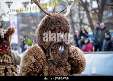 Pernik, Bulgarien - 27. Januar 2024: Maskerade-Festival zum 30. Geburtstag in Pernik Bulgarien. Leute mit einer Maske namens Kukeri tanzen und spielen zu sc Stockfoto