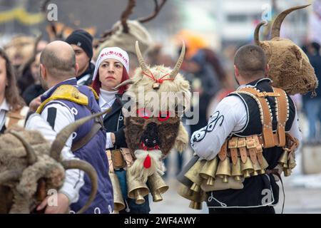 Pernik, Bulgarien - 27. Januar 2024: Maskerade-Festival zum 30. Geburtstag in Pernik Bulgarien. Leute mit einer Maske namens Kukeri tanzen und spielen zu sc Stockfoto