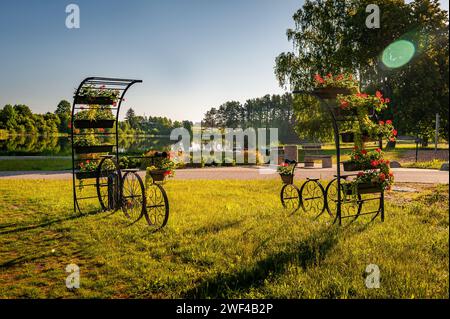 Dekoratives Modell eines alten Fahrrads mit Körbchenblumen vor dem Hintergrund des Sees. Fahrräder mit Blumenkörben im Smiltene Old Stockfoto