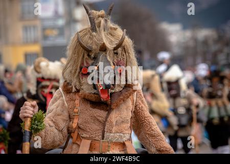 Pernik, Bulgarien - 27. Januar 2024: Maskerade-Festival zum 30. Geburtstag in Pernik Bulgarien. Leute mit einer Maske namens Kukeri tanzen und spielen zu sc Stockfoto