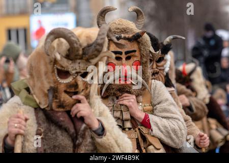 Pernik, Bulgarien - 27. Januar 2024: Maskerade-Festival zum 30. Geburtstag in Pernik Bulgarien. Leute mit einer Maske namens Kukeri tanzen und spielen zu sc Stockfoto