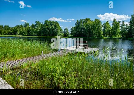 Leere Bank am Holzsteg auf dem See. Holzstege, sumpfiges Seeufer. Bilska-See, Lettland. Stockfoto