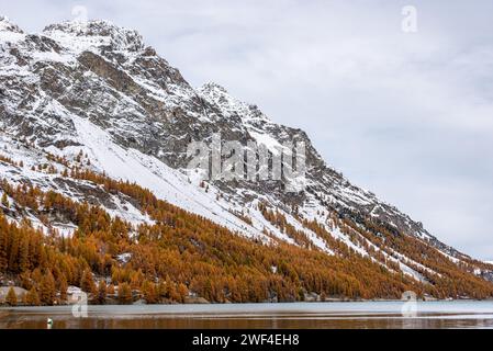 Silsersee im Herbst mit schneebedeckten Bergen, nahe St. Moritz, Schweiz Stockfoto