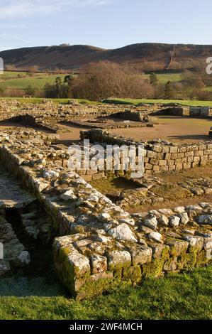 Ausgrabungen an Mauern und Gebäuden im römischen Hilfsfort Vindolanda an der Hadrians Wall, Großbritannien Stockfoto