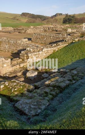 Ausgrabungen an Mauern und Gebäuden im römischen Hilfsfort Vindolanda an der Hadrians Wall, Großbritannien Stockfoto