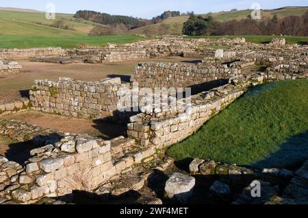 Ausgrabungen an Mauern und Gebäuden im römischen Hilfsfort Vindolanda an der Hadrians Wall, Großbritannien Stockfoto