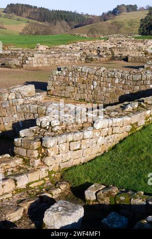 Ausgrabungen an Mauern und Gebäuden im römischen Hilfsfort Vindolanda an der Hadrians Wall, Großbritannien Stockfoto