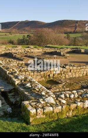 Ausgrabungen an Mauern und Gebäuden im römischen Hilfsfort Vindolanda an der Hadrians Wall, Großbritannien Stockfoto