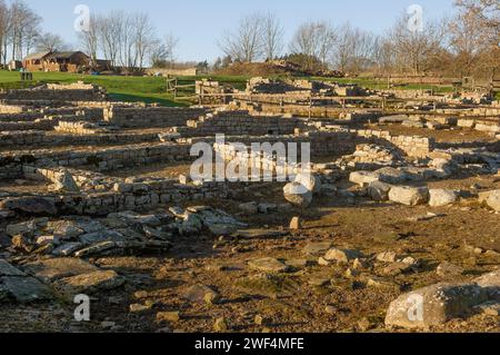 Ausgrabungen an Mauern und Gebäuden im römischen Hilfsfort Vindolanda an der Hadrians Wall, Großbritannien Stockfoto