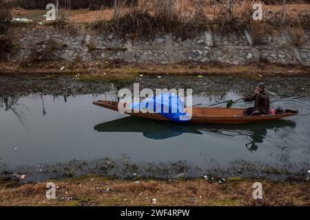 Srinagar, Indien. Januar 2024. Ein Mann rudert sein Boot bei leichtem Regen in Srinagar. Kaschmirs Berge waren leicht schneebedeckt und die Ebenen erlebten am Sonntag leichte Regenfälle, die die lange Trockenzeit der letzten zwei Monate brachen. (Foto: Saqib Majeed/SOPA Images/SIPA USA) Credit: SIPA USA/Alamy Live News Stockfoto