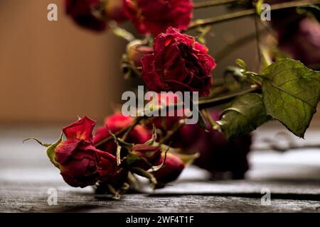 Rote trockene Rosen auf dem Tisch, ein Strauß getrockneter Blumen Stockfoto
