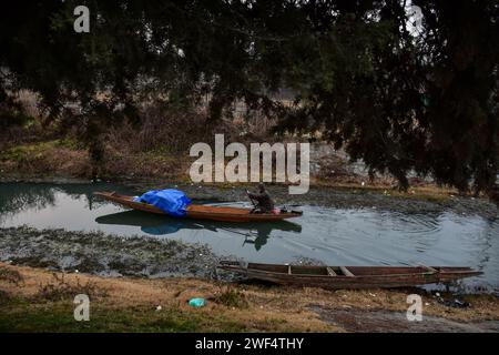 Srinagar, Kaschmir, Indien. Januar 2024. Ein Mann rudert sein Boot bei leichtem Regen in Srinagar. Kaschmirs Berge waren leicht schneebedeckt und die Ebenen erlebten am Sonntag leichte Regenfälle, die die lange Trockenzeit der letzten zwei Monate brachen. (Credit Image: © Saqib Majeed/SOPA Images via ZUMA Press Wire) NUR REDAKTIONELLE VERWENDUNG! Nicht für kommerzielle ZWECKE! Stockfoto