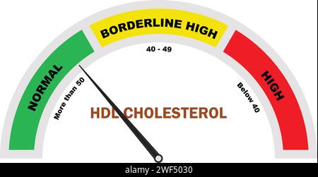 HDL-Cholesterinspiegel, Cholesterintest, HDL-Cholesterintest, Cholesterinmessgerät Symbol, medizinisches Diagnosesystem Stock Vektor