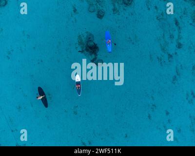SUP Boarder von oben Stockfoto