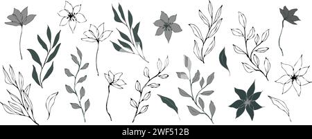 Abstrakte Wildblumen Zweige mit Blättern. Botanische Illustrationen von Linienkunstvektoren. Handgezeichnete grüne Tintensammlung. Modernes Design für Logo und Tattoo Stock Vektor