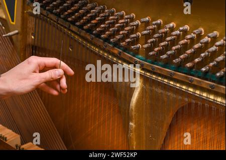 Reparatur und Abstimmung des Klaviers. Klaviersaite in der Hand Stockfoto