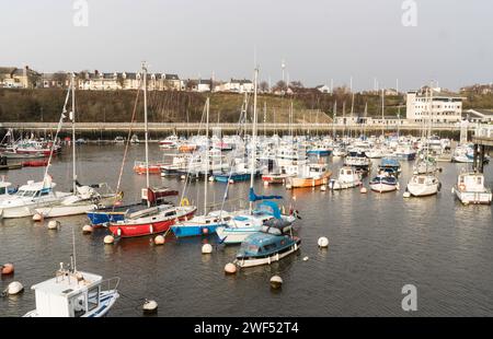 Januar 2024 die Wintersonne erleuchtet Boote, die im Yachthafen Roker in Sunderland, England, Großbritannien, liegen Stockfoto