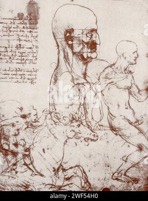 Hier sehen Sie Schnitzel von Leonardo da Vinci. Leonardo di ser Piero da Vinci (1452–1519) war ein italienischer Polymath der Hochrenaissance, der als Maler, Zeichner, Ingenieur, Wissenschaftler, Theoretiker, Bildhauer und Architekt. Stockfoto