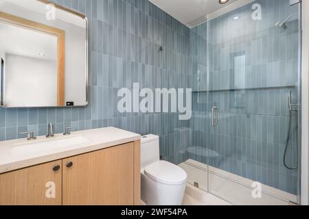 Modernes Bad mit geräumiger bodenebener Dusche und Toilette Stockfoto