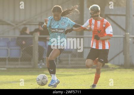 Ashford Town (Middx) Women FC gegen London Seaward FC, FA Women's National League FAWNL, 28. Januar 2024 Stockfoto