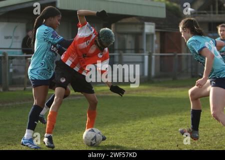 Ashford Town (Middx) Women FC gegen London Seaward FC, FA Women's National League FAWNL, 28. Januar 2024 Stockfoto