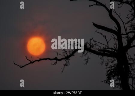 Srinagar, Indien. Januar 2024. Die Sonne geht nach einem kalten Wintertag in Srinagar, der Sommerhauptstadt von Jammu und Kaschmir, unter. (Foto: Saqib Majeed/SOPA Images/SIPA USA) Credit: SIPA USA/Alamy Live News Stockfoto