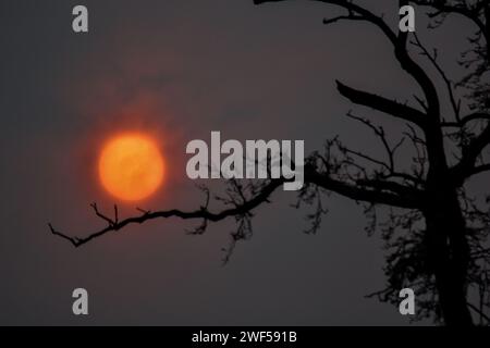 Srinagar, Kaschmir, Indien. Januar 2024. Die Sonne geht nach einem kalten Wintertag in Srinagar, der Sommerhauptstadt von Jammu und Kaschmir, unter. (Credit Image: © Saqib Majeed/SOPA Images via ZUMA Press Wire) NUR REDAKTIONELLE VERWENDUNG! Nicht für kommerzielle ZWECKE! Stockfoto