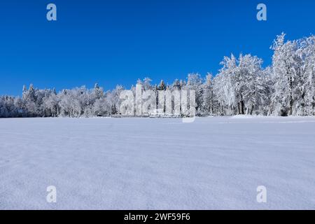Schneebedecktes Feld und Wald am Rande eines sonnigen dany Stockfoto