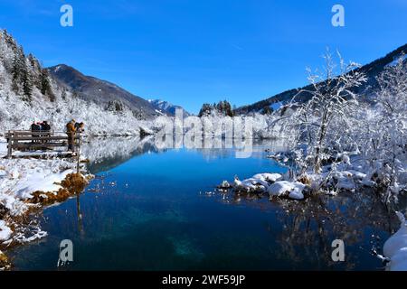 Zelenci, Slowenien - 21. Januar 2024: Blick auf den Zelenci-See bei Kranjska Gora, Gorenjska, Slowenien im Winter Stockfoto