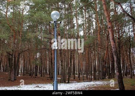 Überwachungskameras für den Außenbereich. Die Kameras sind an einem Laternenpfosten im Stadtpark montiert. Winter Pine Park Stockfoto