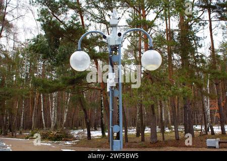 Überwachungskameras für den Außenbereich. Die Kameras sind an einem Laternenpfosten im Stadtpark montiert. Winter Pine Park Stockfoto