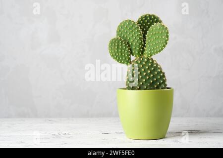 Kaktuskaktus opuntia in einem grünen Topf auf einem weißen Tisch. Kopierbereich für Text. Stockfoto