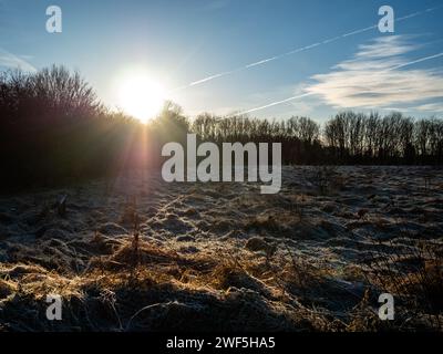 Malden, Niederlande. Januar 2024. Aufgrund der niedrigen Temperaturen, die nachts stattfanden, ist ein Feld mit Frost bedeckt. Nachdem drei benannte Stürme (Sturm Henk, Sturm Jocelyn und Sturm Isha) im Januar durch die Niederlande gezogen wurden, haben an diesem Wochenende die eisigen Temperaturen in der Nacht die Landschaft in weiße Landschaften verwandelt. Am Sonntagmorgen genossen Wanderer und Biker bei ihren Outdoor-Sportarten sonnige und kalte Temperaturen. (Foto: Ana Fernandez/SOPA Images/SIPA USA) Credit: SIPA USA/Alamy Live News Stockfoto