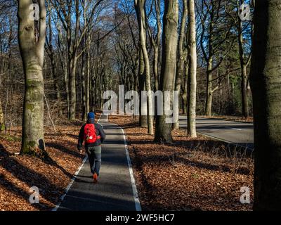 Groesbeek, Niederlande. Januar 2024. Ein Mann wird auf einer Fahrradstraße gesehen, die von hohen Bäumen umgeben ist. Nachdem drei benannte Stürme (Sturm Henk, Sturm Jocelyn und Sturm Isha) im Januar durch die Niederlande gezogen wurden, haben an diesem Wochenende die eisigen Temperaturen in der Nacht die Landschaft in weiße Landschaften verwandelt. Am Sonntagmorgen genossen Wanderer und Biker bei ihren Outdoor-Sportarten sonnige und kalte Temperaturen. (Foto: Ana Fernandez/SOPA Images/SIPA USA) Credit: SIPA USA/Alamy Live News Stockfoto