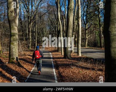 Groesbeek, Gelderland, Niederlande. Januar 2024. Ein Mann wird auf einer Fahrradstraße gesehen, die von hohen Bäumen umgeben ist. Nachdem drei benannte Stürme (Sturm Henk, Sturm Jocelyn und Sturm Isha) im Januar durch die Niederlande gezogen wurden, haben an diesem Wochenende die eisigen Temperaturen in der Nacht die Landschaft in weiße Landschaften verwandelt. Am Sonntagmorgen genossen Wanderer und Biker bei ihren Outdoor-Sportarten sonnige und kalte Temperaturen. (Credit Image: © Ana Fernandez/SOPA Images via ZUMA Press Wire) NUR REDAKTIONELLE VERWENDUNG! Nicht für kommerzielle ZWECKE! Stockfoto