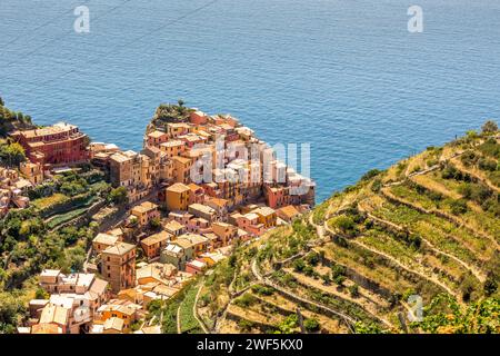 Manarola, Italien - 2. August 2023: Das malerische Küstendorf Manarola, Cinque Terre, Italien Stockfoto