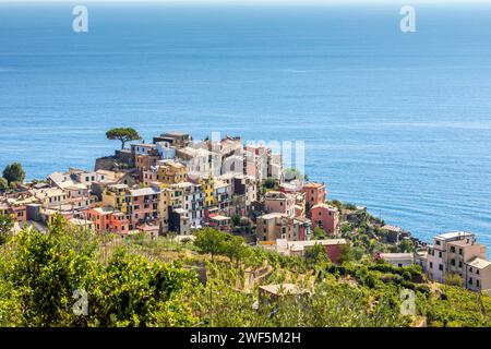 Corniglia, Italien - 2. August 2023: Panoramablick auf das Dorf Corniglia im Nationalpark Cinque Terre in Italien Stockfoto