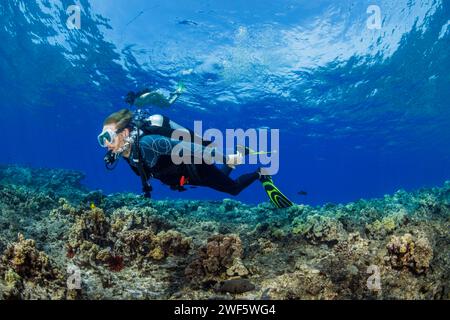 Taucher (MR) machte eine Bootstour über einen Garten aus Hartkorallen und einen Schnorchler, der hinter ihm freitaucht, vor der Insel Maui, Hawaii. Stockfoto