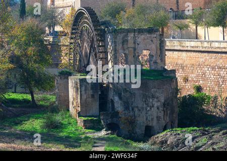 Wassermühle die Albolafia entlang des Flusses Guadalquivir im historischen Zentrum von Cordoba, Spanien. Molino de la Albolafia Stockfoto